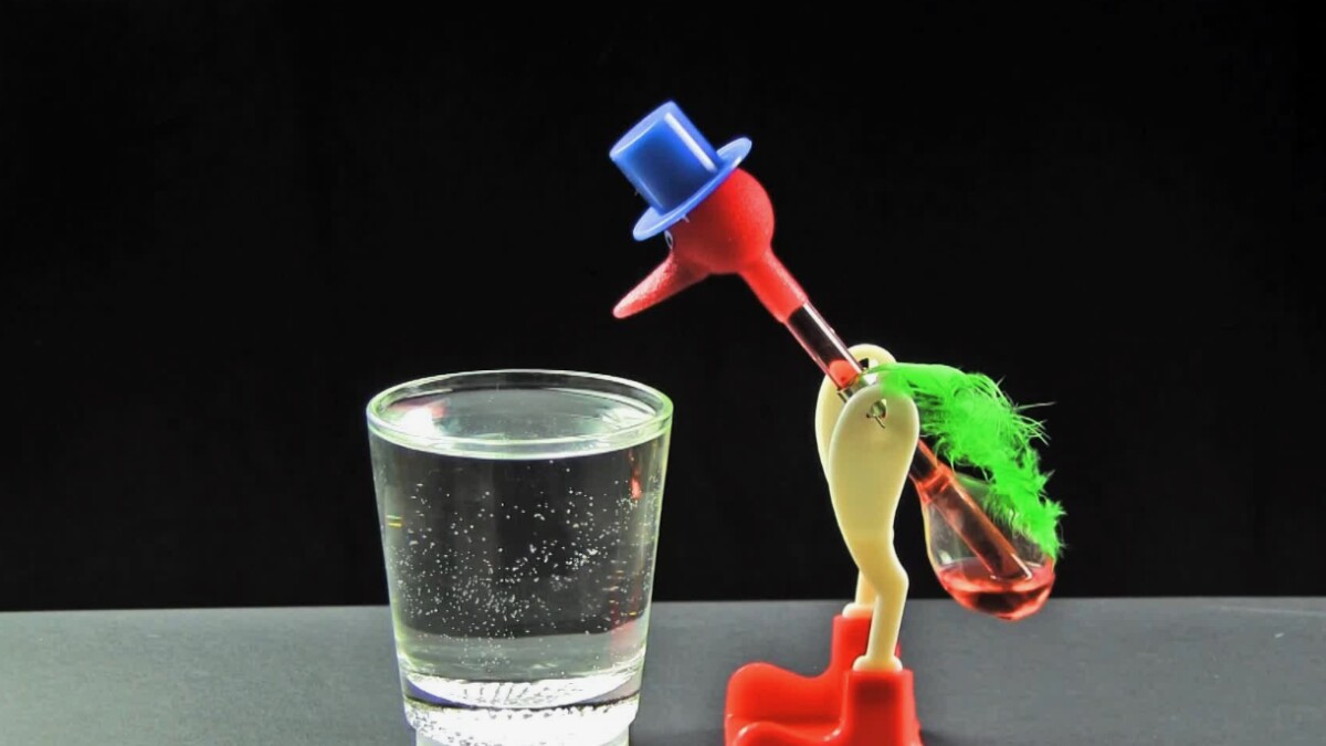 Duck drinking water toy shop